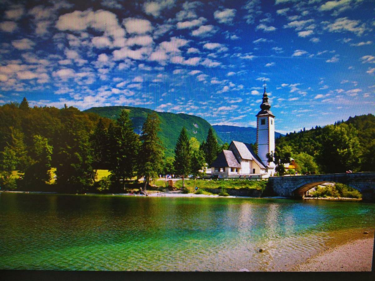 Appartement Planika B&M à Bohinj Extérieur photo