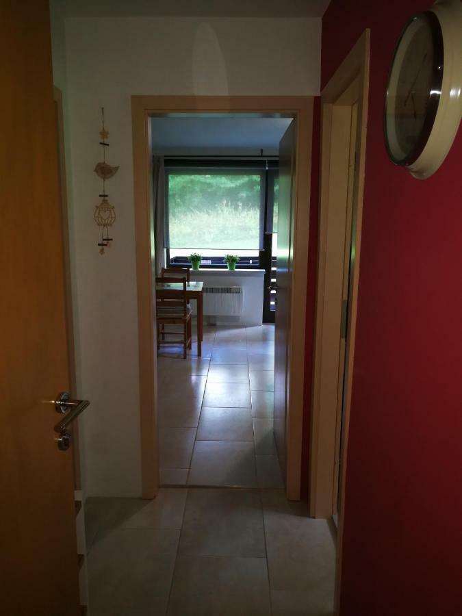 Appartement Planika B&M à Bohinj Extérieur photo