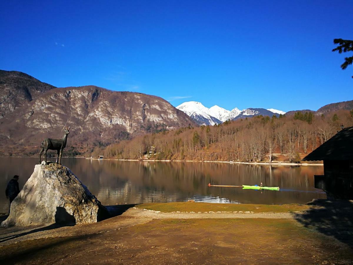 Appartement Planika B&M à Bohinj Extérieur photo